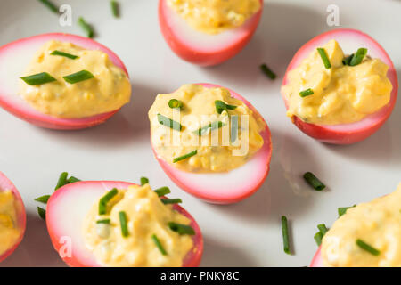 Homemade Pink Pickled Deviled Eggs with Chives Stock Photo