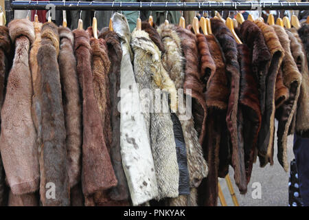 Various animal fur coats at hangers Stock Photo