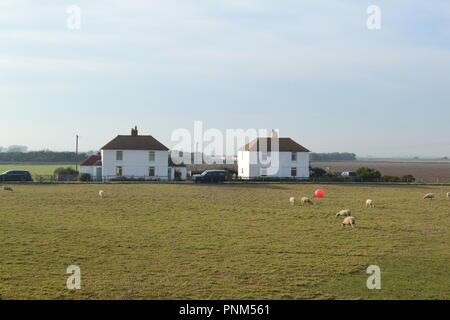 Coastguard cottages and farmer's houses at Camber, East Sussex, England, UK near Kent border late on a summer's day Stock Photo