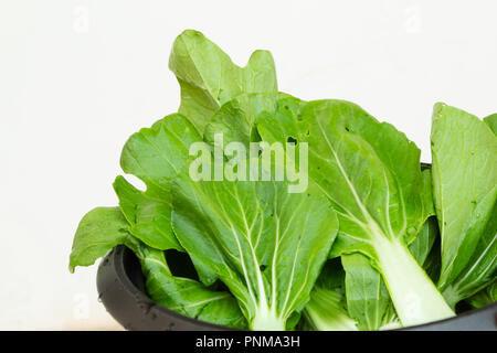 Baby bok choy, pak choi or pok choi (Brassica rapa subsp. chinensis), type of Chinese cabbage, vegetables fresh washed in metal bowl on sink