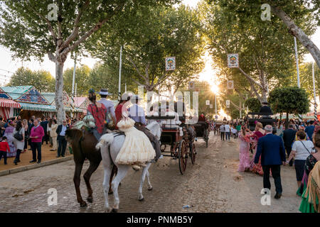 Horse-drawn carriage in front of Casetas, sun shines through trees, traditional clothing, Feria de Abril, Seville, Andalucia Stock Photo