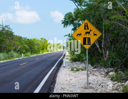 Wild animal Crossing sign in Yucatan, Mexico.  The sign depicts a  feline, a deer and a coati. Stock Photo