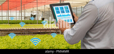 iot smart industry robot 4.0 agriculture concept,industrial agronomist,farmer using tablet to monitor, control the condition in vertical or indoor far Stock Photo