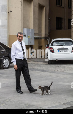 ISTANBUL - TURKEY - AUGUST 21, 2016: Businessman posing next to a young strat cat in the streets of Istanbul. Cats are a symbol of the biggest city of Stock Photo