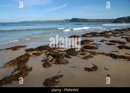 Smiths Beach, Phillip Island, Victoria, Australia. Stock Photo