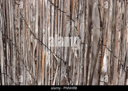 Vintage bamboo rattan close-up of a dilapidated retro worn fence held together with rusted wire a background texture in shades of tan, beige Stock Photo