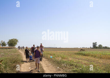 TOVARNIK, CROATIA - SEPTEMBER 19, 2015: Refugees walking through the fields near the Croatia Serbia border, between the cities of Sid Tovarnik on the  Stock Photo