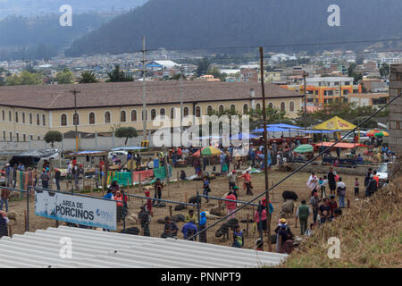 animal market in otavalo, ecuador Stock Photo