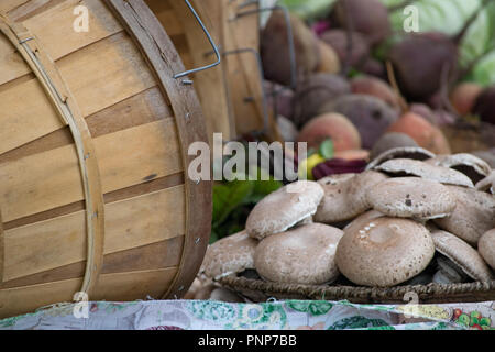 Mushrooms and with Beets in the Background  and a Bushel Basket on a Table Sold Local at an Outdoor Farmers Market Stock Photo