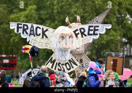 London, UK. 22nd Sept 2018.  Despite the constant rain, huge crowds gather to walk in Hyde Park to hear speakers and music on the stage before setting off for an hour-long walk around central London to highlight the local wildlife and the plight of nature in general. Credit: PjrFoto/Alamy Live News Stock Photo