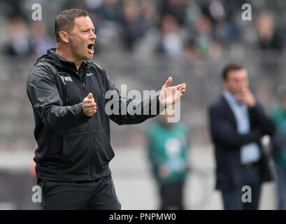 22 September 2018, Berlin: Soccer: Bundesliga, Hertha BSC vs Borussia Moenchengladbach, 4th matchday at the Olympic Stadium. Hertha head coach Pal Dardai on the sideline. Photo: Soeren Stache/dpa - IMPORTANT NOTICE: DFL an d DFB regulations prohibit any use of photographs as image sequences and/or quasi-video. Stock Photo