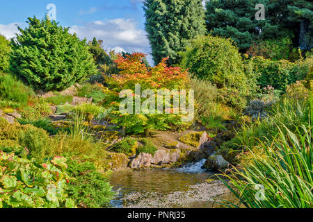 EDINBURGH SCOTLAND BOTANIC GARDENS THE ROCKERY GARDEN AND STREAM Stock Photo