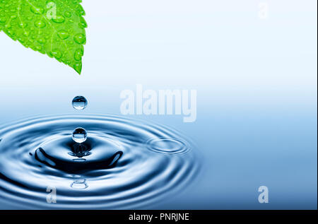 Rain drop falling from green wet leaf to smooth surface of water Stock Photo