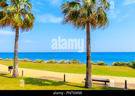 Coastal path with palm trees along beach near Estepona town on Costa del Sol, Spain Stock Photo