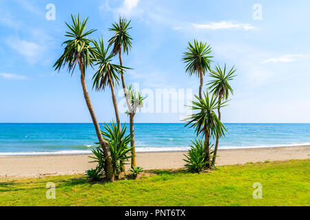 Agave trees along beautiful beach near Estepona town on Costa del Sol, Spain Stock Photo