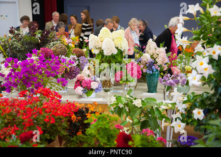 Village Flower show at Colwall in Herefordshire Stock Photo