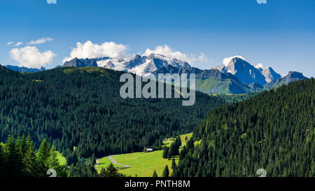 Summer landscape of glacier Marmolada with forest in foreground in a clear morning of August, Dolomites - Italy Stock Photo