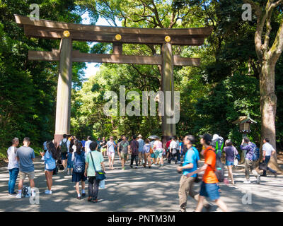 Tokyo, Japan. September 8, 2018. People walking in Yoyogi park in Harajuku district. Stock Photo