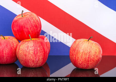 Red apples / apple & UK flag / Union Jack. For UK apple growing, English apples, UK British cider making industry, October Apple Day, British produce. Stock Photo