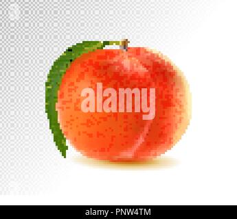 Realistic Ripe Peach with Leaf on White Background, Isolated Sweet Fruit, 3D Hand Drawn Vector Illustration EPS 10 on transparent background Stock Vector