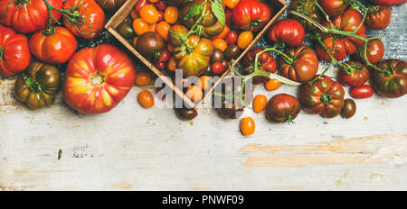 Flat -lay of fresh colorful tomatoes, top view Stock Photo