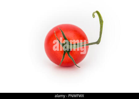 Single tomato on a whilte background with stalk and leaves Stock Photo