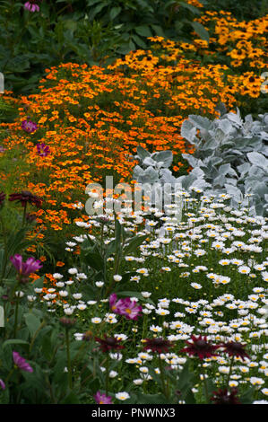 Colourful Summer Garden Border Flowers in The UK Stock Photo