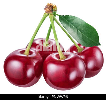 Four cherries with cherry leaf on a white background. File contains clipping path. Stock Photo