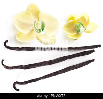 Dried vanilla fruits and orchid vanilla flowers isolated on white background. Stock Photo