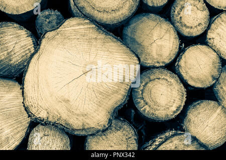 Stockpile of raw wooden logs in section. Artistic close-up. Sawn tree trunks as natural background. Abstract texture of stacked firewood. Retro style. Stock Photo