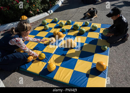 People play chess with melons and water-melons. Astrakhan, Russia. Stock Photo
