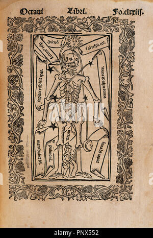 Ramon Llull (1235-1316). Spanish writer and philosopher.  Practica Compendiosa Artis Raymundi Lulli, 1523. Book 8. Medicine subject. Description of the human skeleton. Stock Photo