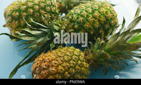 Whole pineapples on blue background Stock Photo