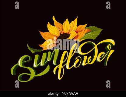 Sunflower vector clip art with hand lettering sign calligraphy flower name yellow autumn botany illustration Stock Vector