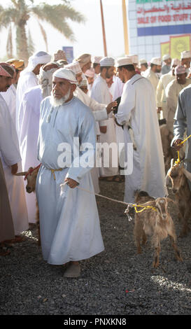 Nizwa, Oman, 21 September 2018: omani men at a market, buying and selling goats at a traditional habta auction Stock Photo