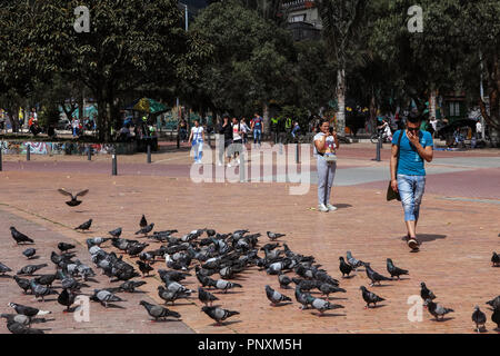 Bogotá, Colombia - May 28, 2017:  Local Colombian people feed and take photos of the pigeons on the Parque de Las Periodistas in the Las Aguas area. Stock Photo