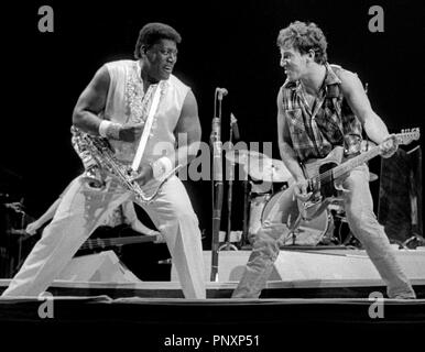 Clarence Clemons (left) Bruce Springsteen (right) in concert at the Cotton Bowl Dallas Tx 1985 Stock Photo