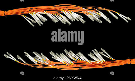 Bunch of fiber optic cables and connectors on black background with copyspace, it technology, banner Stock Photo
