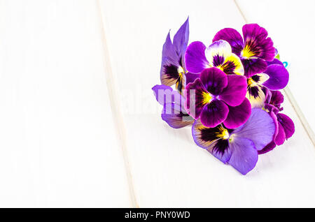 Little bouquet of Viola tricolor Stock Photo