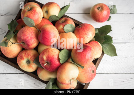 Red apples in wooden box. Organic red apples with leaves on white wooden background, copy space. Stock Photo