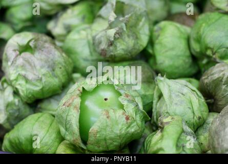 Fresh tomatillos in a Mexican market used to make a common green sauce Stock Photo