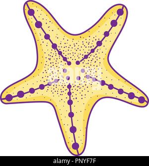 Sea star cartoon Stock Vector