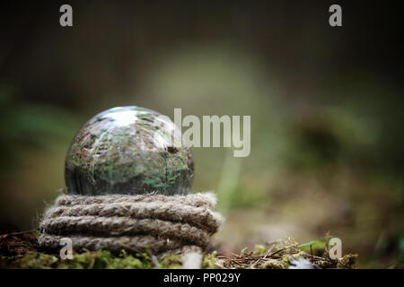 Crystal ball. A magical accessory in the woods on the stump. Rit Stock Photo