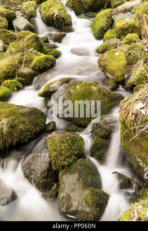 Flowing motion of Waterfall, Nenderoth, Hessen, Germany Stock Photo - Alamy