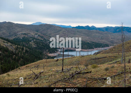 Scene overlooking burned out trees from the 2002 Hayman Fire 16 years later in the Pike National Forest of Colorado.  New regrowth trees are mixed wit Stock Photo