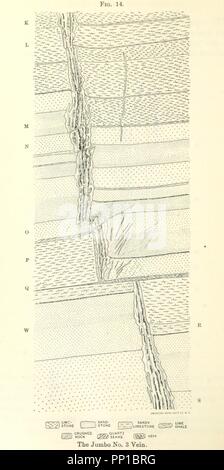 Grey Commis Archive image from page 564 of Cunningham's Text-book of anatomy (1914 ...