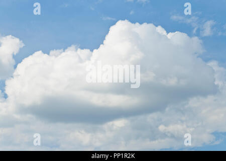 Heaping clouds over St. Louis Forest Park on a June early summer day. Stock Photo