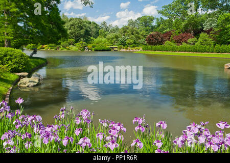 ST. LOUIS - JUNE 12: Bright puffy clouds in blue sky over and reflected in the lake in the Japanese Garden at the Missouri Botanical Garden on a mid-J Stock Photo