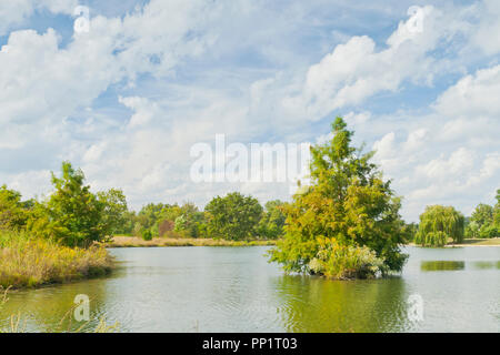 Blue sky with clouds over a bald cypress tree on an islet in the Post-Dispatch Lake with a weeping willow in the distance at St. Louis Forest Park. Stock Photo