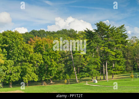 Puffy clouds protrude above trees with a hint of red autumn foliage among the green at St. Louis Forest Park on an afternoon in early October. Stock Photo